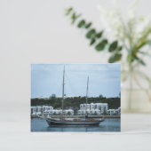 Carte Postale Bermudes (Debout devant)