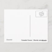 Carte Postale Bernache du Canada (Dos)