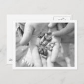 Carte Postale bernard l'ermite (Devant / Derrière)