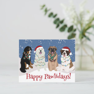 Carte Postale Bernese Leonberger Grande Pyrénées