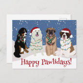 Carte Postale Bernese Leonberger Grande Pyrénées (Devant / Derrière)