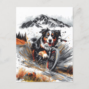 Carte Postale Bernese Mountain Dog Biking Dans Les Montagnes