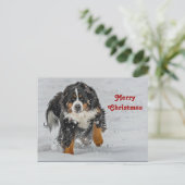Carte Postale Bernese Mountain Dog Photo de neige Noël (Debout devant)