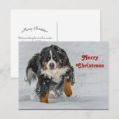 Carte Postale Bernese Mountain Dog Photo de neige Noël (Devant / Derrière)
