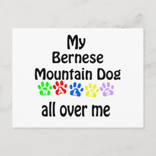 Carte Postale Bernese Mountain Dog Walks Design