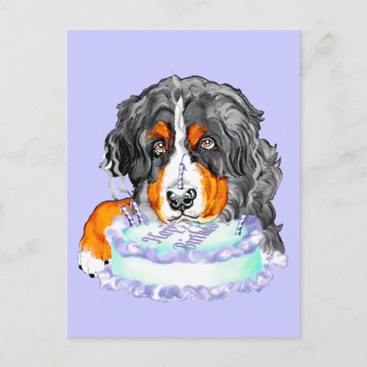 Carte Postale Bernese Mt Chig Cake Face Anniversaire (Devant)