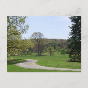 Carte Postale Bernheim Forest