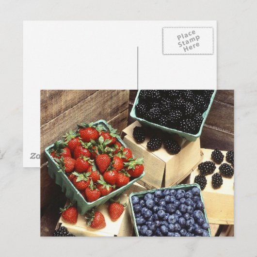 Carte Postale Berries (Devant / Derrière)
