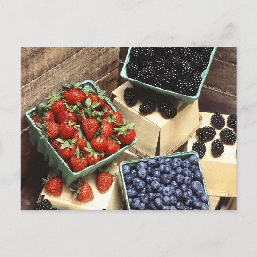 Carte Postale Berries (Devant)