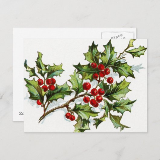 Carte Postale Berries001 (Devant / Derrière)