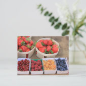 Carte Postale Berries au marché (Debout devant)
