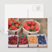 Carte Postale Berries au marché (Devant / Derrière)