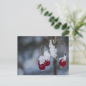 Carte Postale Berries congelées (Debout devant)