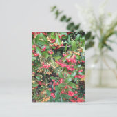 Carte Postale Berries dans le parc (Debout devant)