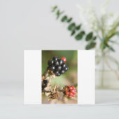 Carte Postale Berries d'automne (Debout devant)