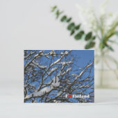 Carte Postale Berries d'hiver (Debout devant)
