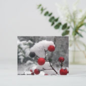 Carte postale Berries d'hiver (Debout devant)