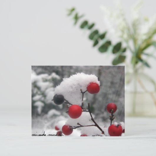 Carte postale Berries d'hiver (Debout devant)