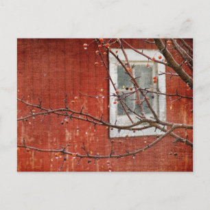 Carte Postale Berries et Grange