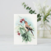 Carte Postale Berries Pour Manger (Debout devant)