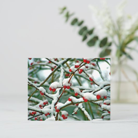 Carte Postale Berries rouges dans la neige (2025) (Debout devant)