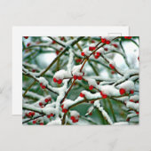 Carte Postale Berries rouges dans la neige (2025) (Devant / Derrière)