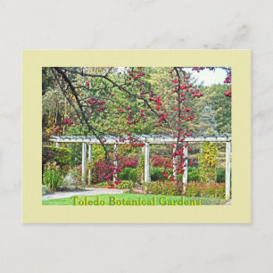 CARTE POSTALE BERRIES ROUGES ET JARDINS BOTANIQUES PERGOLA TOLED