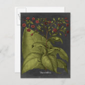 Carte Postale Besler Dramatique I (Devant / Derrière)