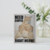 Carte Postale BESOIN DE CAFÉ DROITE ! Manx Chat assis drôle (Debout devant)