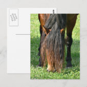 Carte Postale besoin d'une coupe de cheveux (Devant / Derrière)