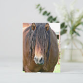 Carte Postale Besoin d'une coupe de cheveux (Debout devant)