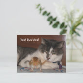 Carte postale Best Buddies (Debout devant)
