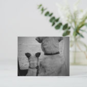 Carte postale Best Friends (Debout devant)