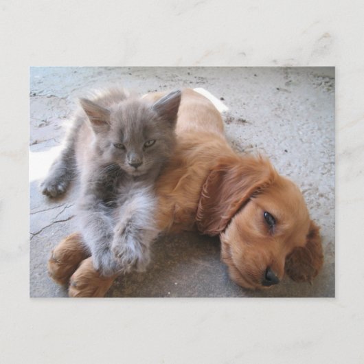 Carte postale Best Friends (Devant)