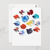 Carte Postale Bêta 2 (Devant / Derrière)