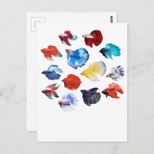 Carte Postale Bêta 2 (Devant / Derrière)