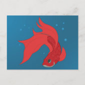 Carte Postale Beta Fish (Devant)