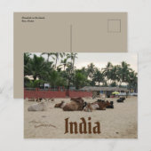 Carte Postale Bétail sur la plage à Goa Inde (Devant / Derrière)