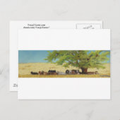 Carte Postale bétail, vache (Devant / Derrière)