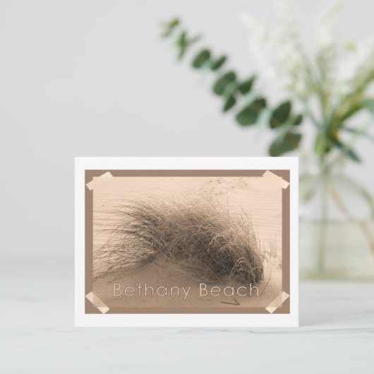 Carte postale Bethany Grass (Debout devant)
