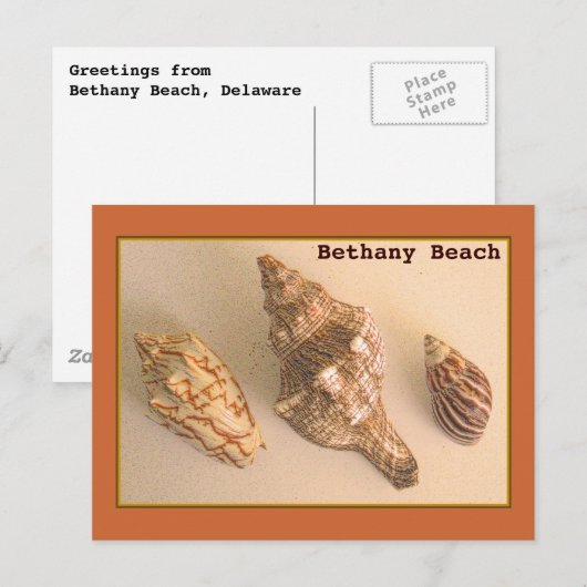 Carte postale Bethany Shells (Devant / Derrière)
