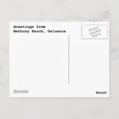 Carte postale Bethany Shells (Dos)