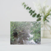 Carte postale Béton Wetland Buxton OBX (Debout devant)