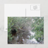 Carte postale Béton Wetland Buxton OBX (Devant / Derrière)