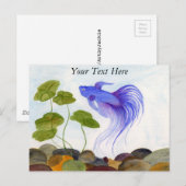 Carte Postale Betta fish (Devant / Derrière)