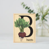 Carte Postale Betteraves anciennes (Debout devant)