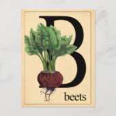 Carte Postale Betteraves anciennes (Devant)