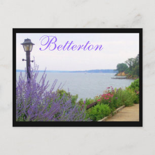 Carte postale Betterton, MD Fleurs d'été