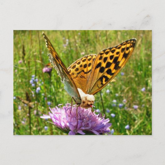 Carte Postale Beurre (Devant)