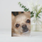 Carte Postale Beurre (Debout devant)